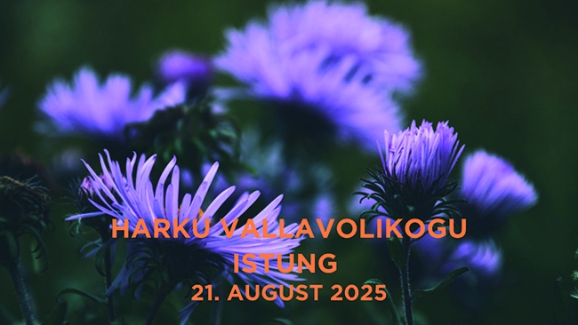 volikogu istung illustreeriv