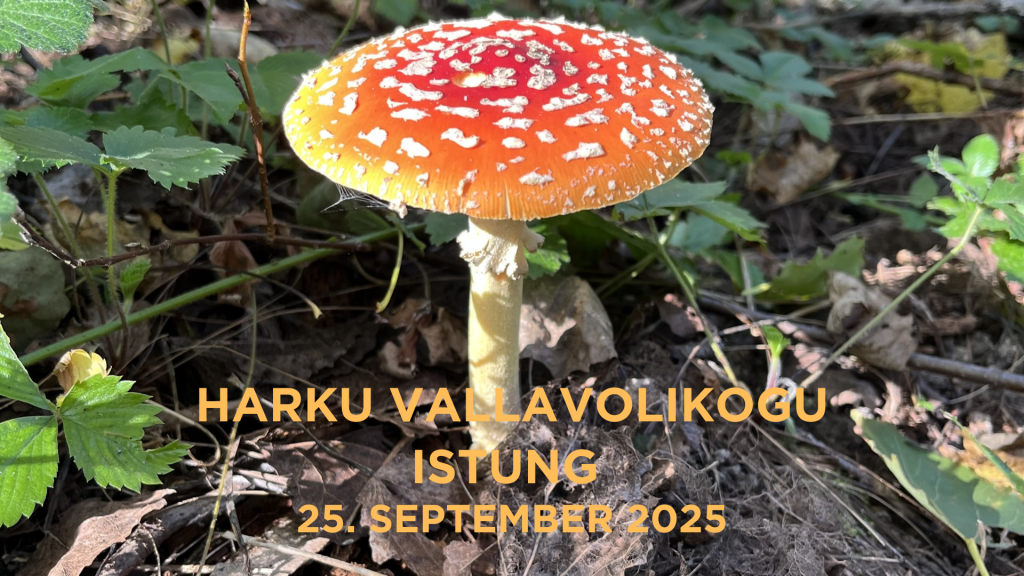 Harku vallavolikogu istung. 25.09.2025.