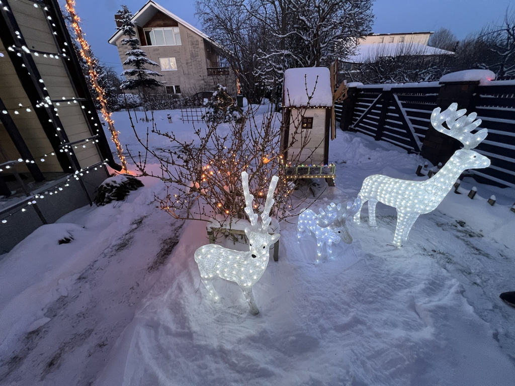 Tulesäras metsaloomad Harku alevikus Pae 4 aias.jpg