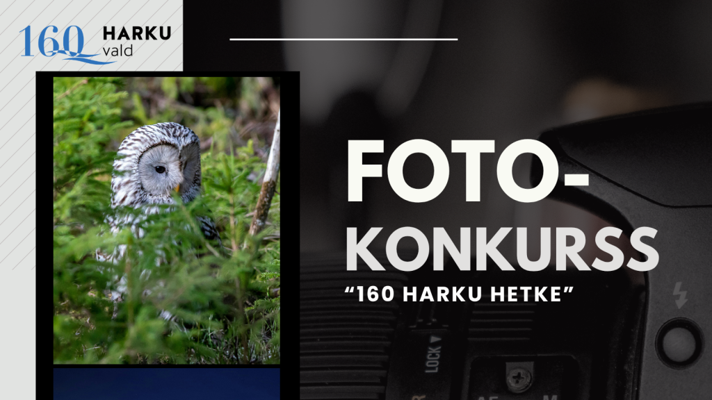 Fotokonkurss 2026 plakat